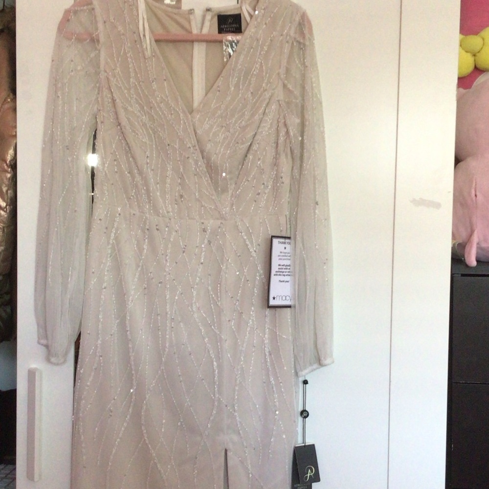Adrianna Papell Shimmering Cream Long Sleeve Dress